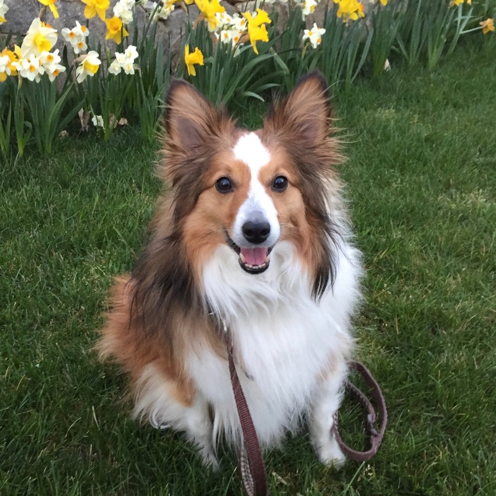 Meet your Posher, Felicia